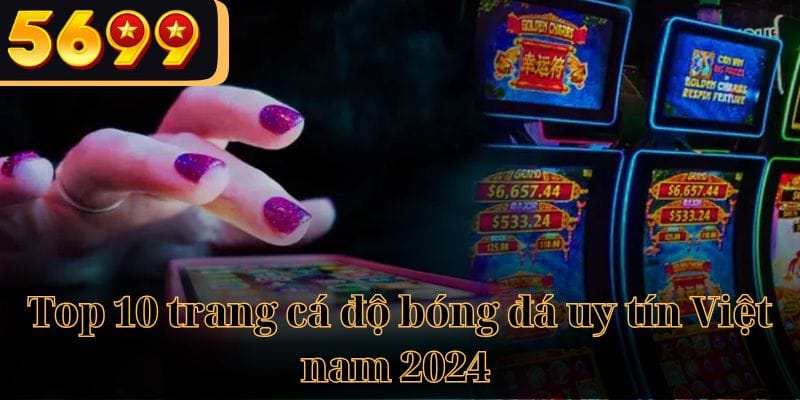 Trang Cá Độ Bóng Đá ảnh đại diện