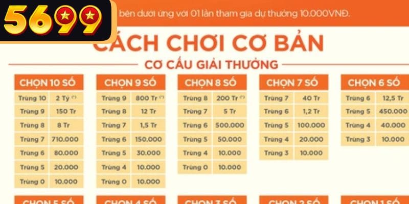 Theo dõi kết quả và kiểm tra các con số trúng giải